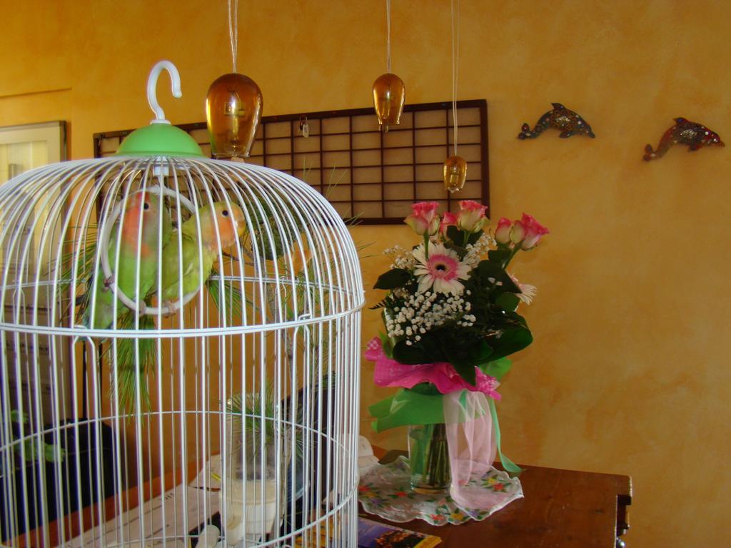 Il Casale Aparthotel Martinsicuro Luaran gambar